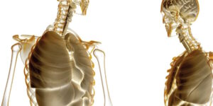 Correlazioni tra occlusione e postura