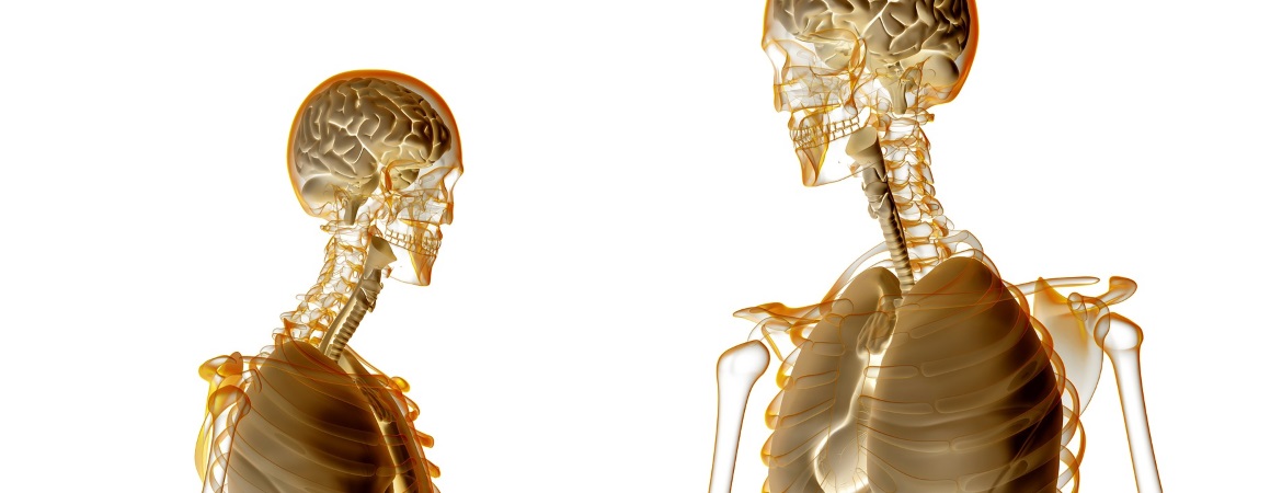 Correlazioni tra occlusione e postura