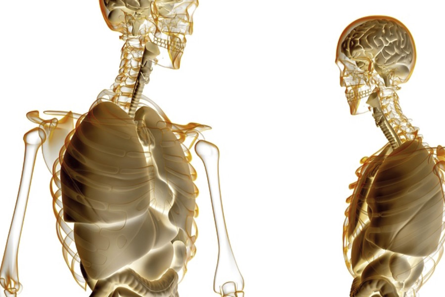 Correlazioni tra occlusione e postura