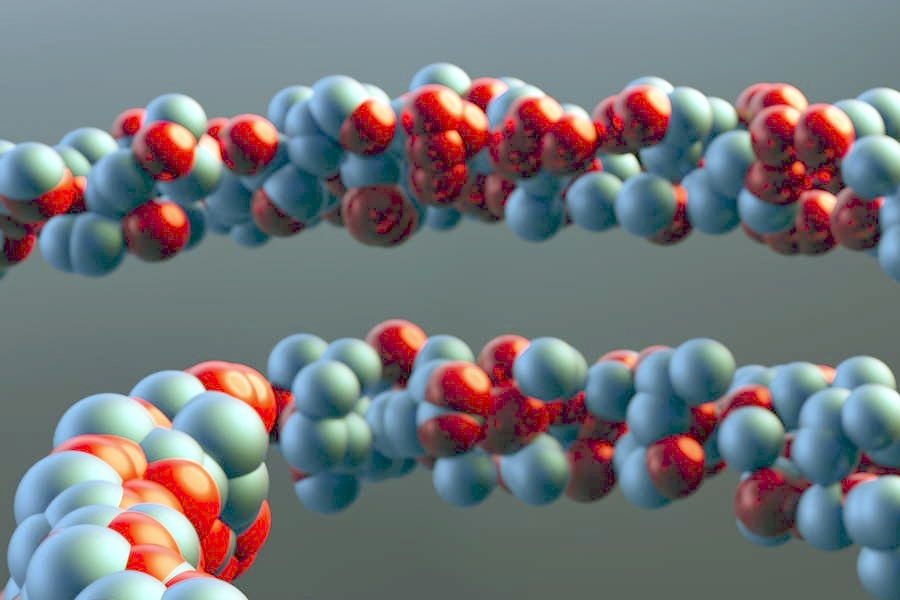 Relazione sistemica tra salute orale e malattie cardiovascolari