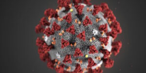 Coronavirus SARS-CoV-2