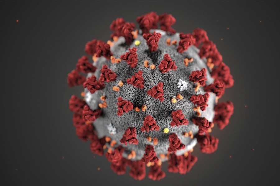 Coronavirus SARS-CoV-2
