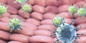 Virus SARS-CoV-2 e Stomatite